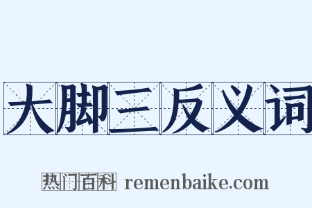 大脚三反义词是什么意思的图片